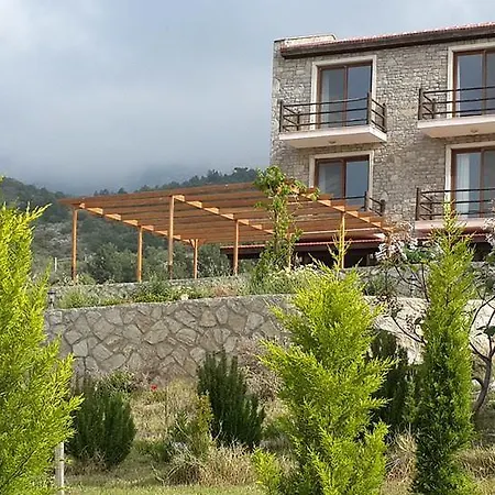 Tsira Otel *
