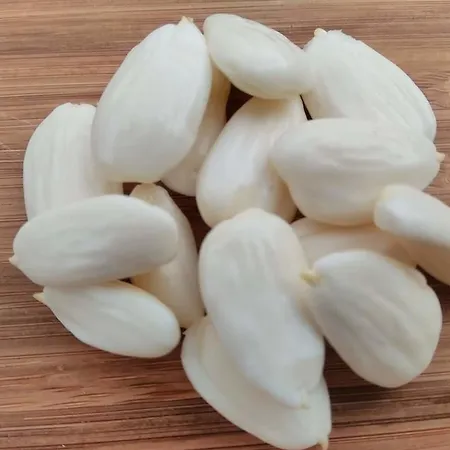 Tsira Hotel Mesudiye (Datca)